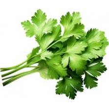 Zelifly ,Coriander Leaves, 500 gm [Vegetables]