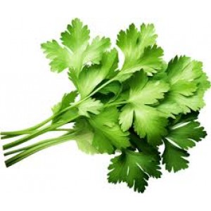 Zelifly ,Coriander Leaves, 500 gm [Vegetables]