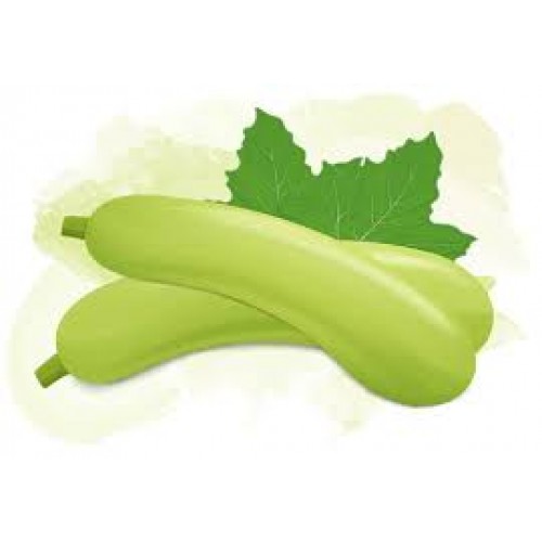 Zelifly , Bottle Gourd  (Loose), 1 pc [vegetables]