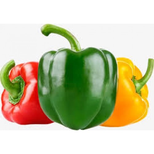 Zelifly , Capsicum - Green/Red/Yellow (Loose), 500 g