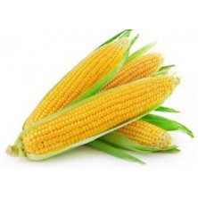 Zelifly , Sweet Corn / Indian Bhutta, 1 pc [vegetables]