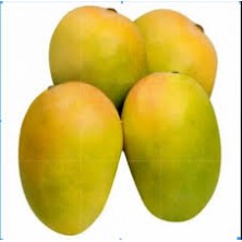 Zelifly Kesar Mango, 1 kg [Fruits]