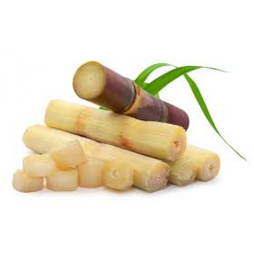 Zelifly , Sugar Cane - Green, 3 Pcs (Approx 3 kg) [Fruits]