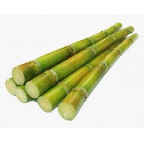 Zelifly , Sugar Cane - Green, 3 Pcs (Approx 3 kg) [Fruits]